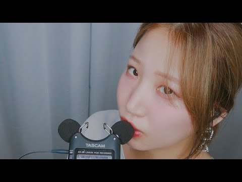 ASMR tascam mouth sound & licking 타스캠 입소리 & 리킹 口音