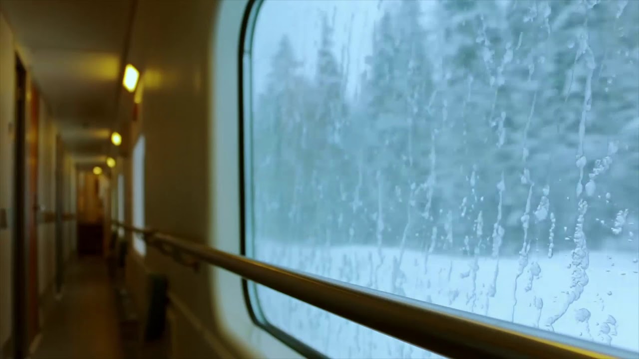 8 Hour Train Ride Through a Winter Forest in Finland | White Noise Sleep Aid ASMR