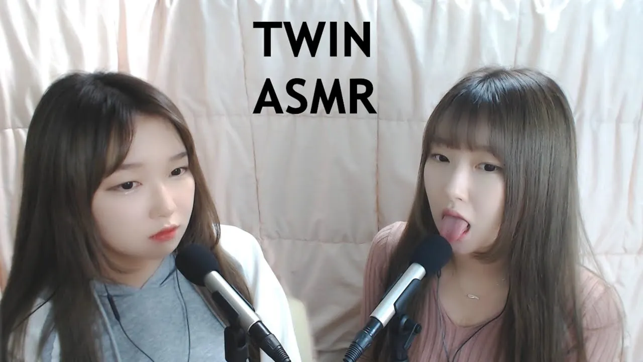 ASMR 쌍둥이가 하는 메롱메롱 한시간 | 팅글폭탄 | TWIN ASMR