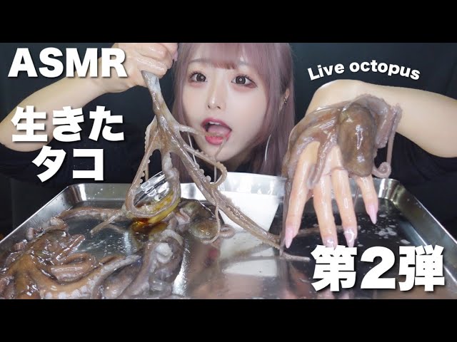 【ASMR】待望の！生きたタコを食べる 第2弾【タコの踊り食い】산낙지 먹방