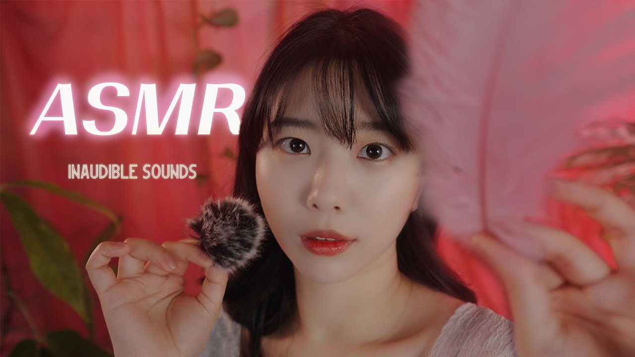 ASMR 최면같은 속삭임과 스르륵 눈이 감기는 카메라 터칭 | 인어디블 시각팅글 Brushing & Inaudible, Mouth Sounds